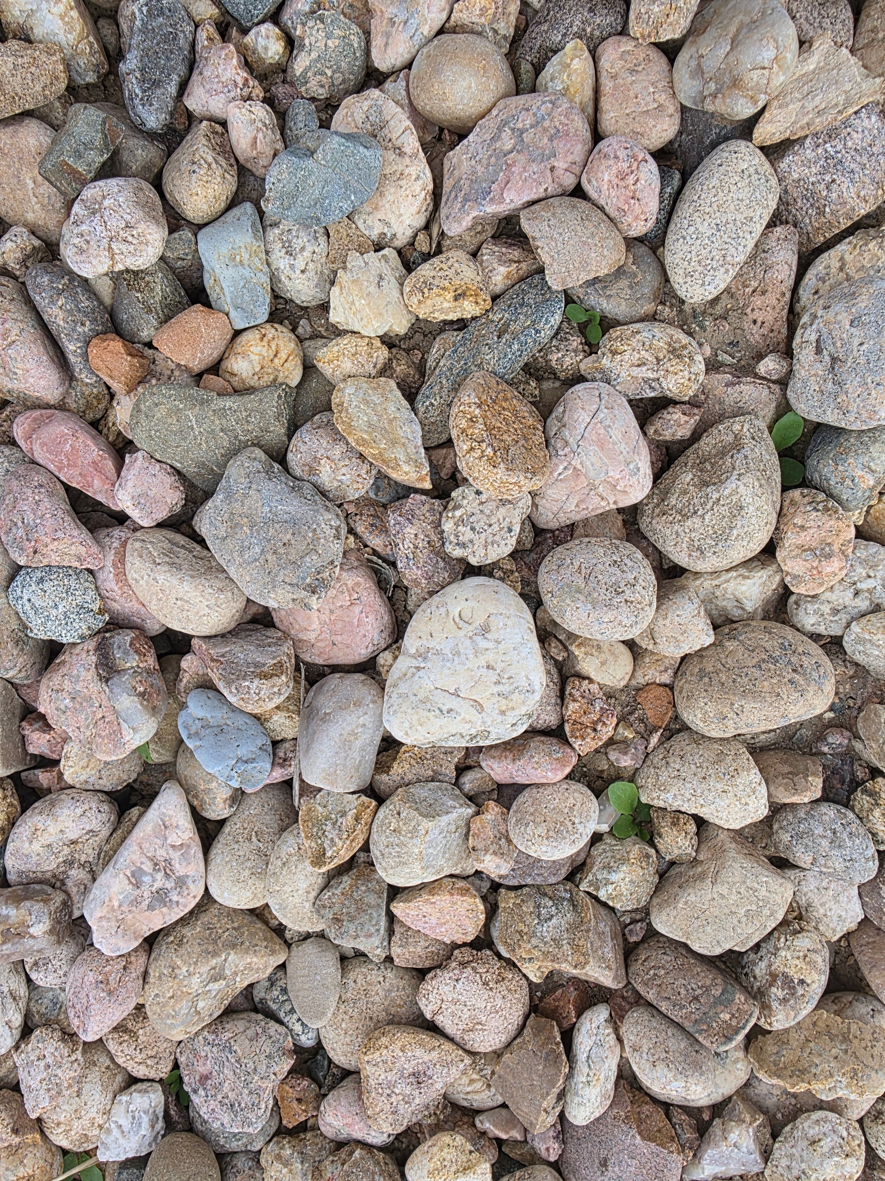 1.5 Local River Rock - Per 1 Ton