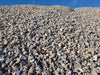 "1 ½” Royal Granite, crushed decorative rock in burgundy and gray tones, 1 ton"
