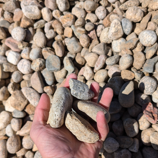"1 ½” Local River Rock, smooth rounded stones in earthy tones, 1 ton"
