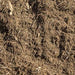 "Cascade Cedar mulch, finely shredded cedar bark, 1 yard"