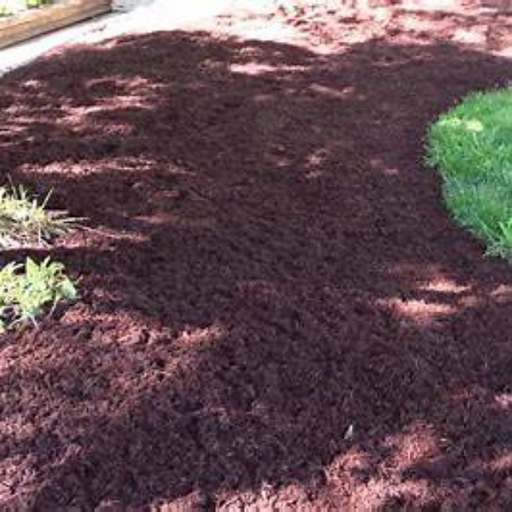 "Dyed Brown Mulch applied in a landscaped garden bed"