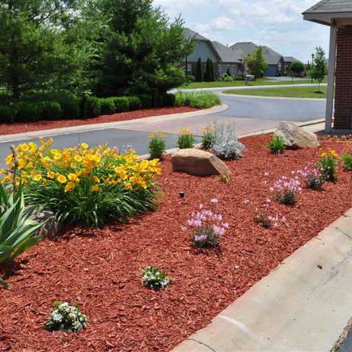 Dyed Red Mulch applied in a landscaped garden bed