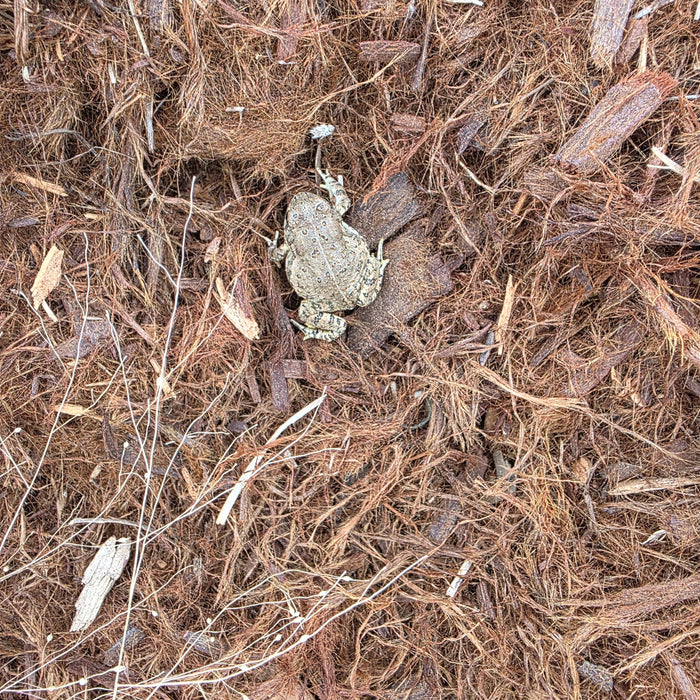 Redwood Mulch - Per 1 Yard