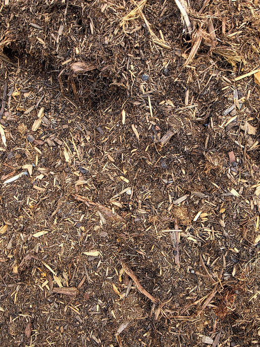 Cascade Cedar - Per 1 Yard