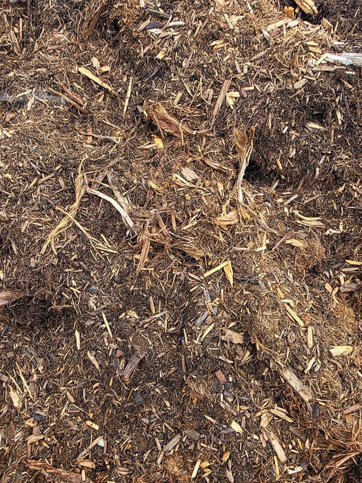 Cascade Cedar - Per 1 Yard